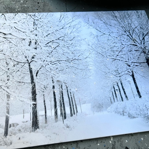 12"x16" Battery Operated Winter Wonderland Canvas Art Like New ON/OFF Switch - Picture 5 of 8